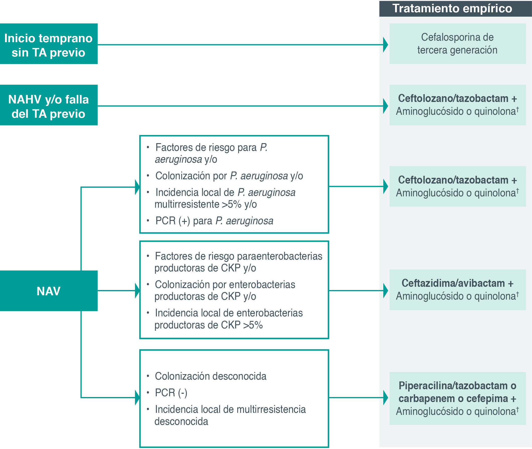 Tratamiento empírico de la neumonía nosocomial en la UCI